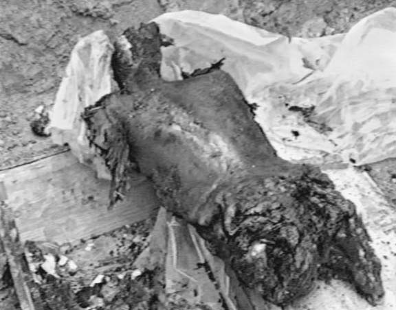 The charred remains of an Armenian resident of Maragha village