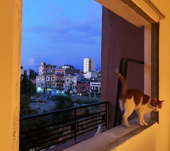 A view from the author’s apartment window in Mar Mikhael (Photo by Melissa Ajamian)